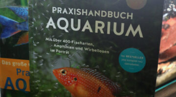praxishandbuch aquarium